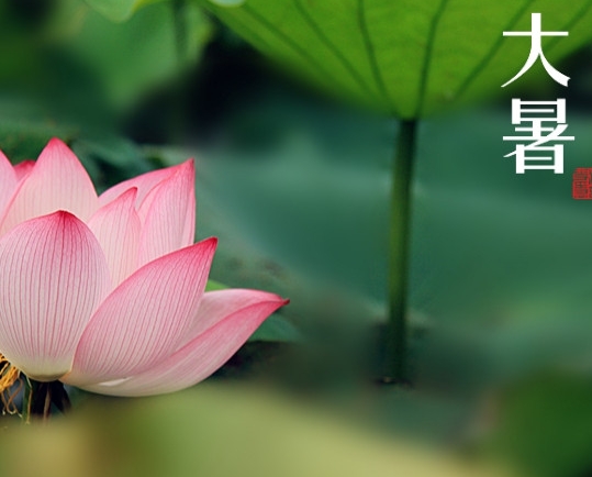 【2016 油条视频陶瓷】大暑，你需要注意这些